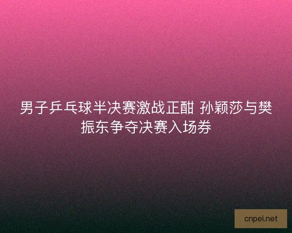 男子乒乓球半决赛激战正酣 孙颖莎与樊振东争夺决赛入场券