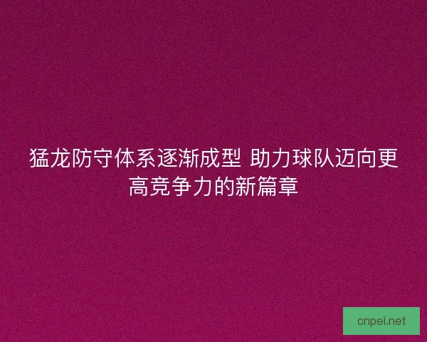 猛龙防守体系逐渐成型 助力球队迈向更高竞争力的新篇章