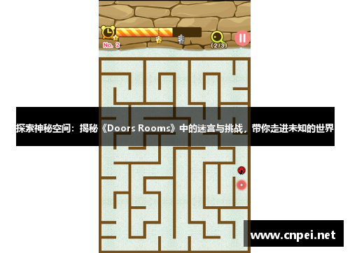 探索神秘空间：揭秘《Doors Rooms》中的迷宫与挑战，带你走进未知的世界